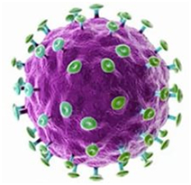 Ce este papilomavirus uman infecție